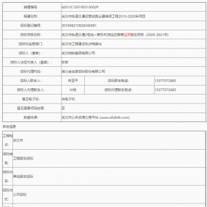 武漢市軌道交通2號線一期及機場線運營期監測服務項目（2020-2021年)招標公告 ... ...