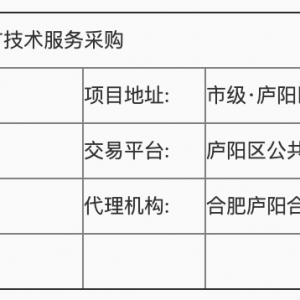 廬陽區特種設備安全監測第三方技術服務招標公告