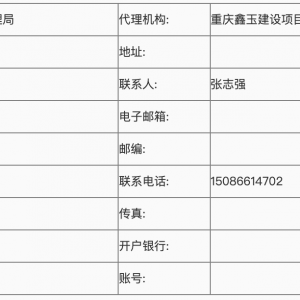 城市特大橋、大橋橋梁結構健康監測系統建設項目