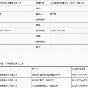 清南環路四期、彩悅路、合悅路隧道施工監測