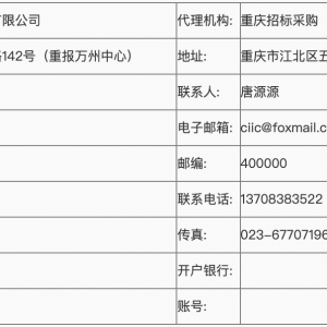 重慶市萬州區青龍水庫工程大壩監測系統設備采購及安裝