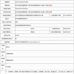 武漢市軌道交通新港線一期工程全線測量及第三方監測（含基坑監測） ...