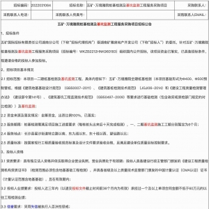 五礦·萬境雅院樁基檢測及基坑監(jiān)測工程服務(wù)采購項目招標公告 ...