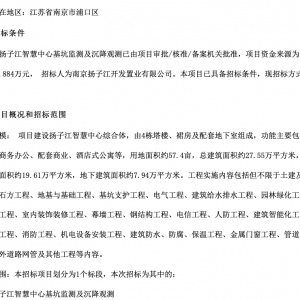 揚子江智慧中心基坑監(jiān)測及沉降觀測招標公告