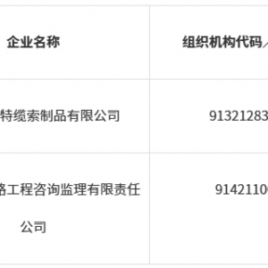 關(guān)于紅安三橋景觀工程纜索脫落事故涉事單位列入“黑名單”的公告 ...